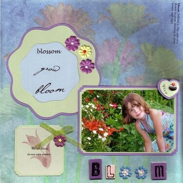 Bloom - Mass 2006