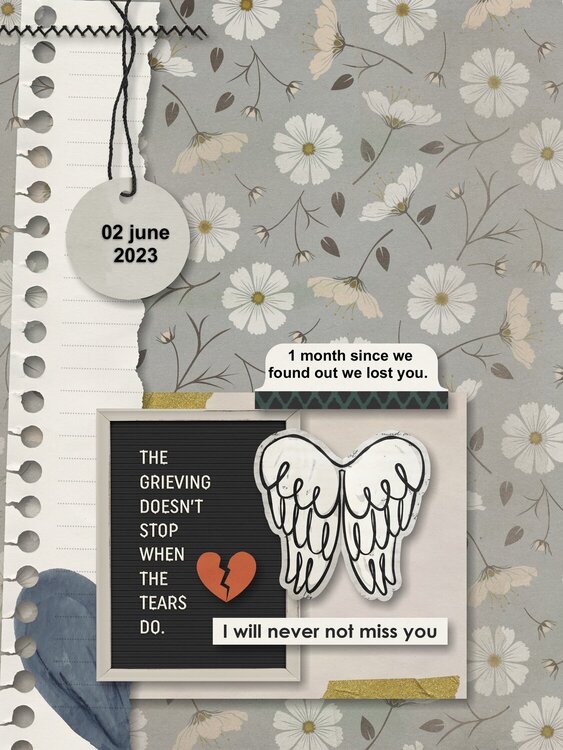 2023 Grief Journal - 1 month