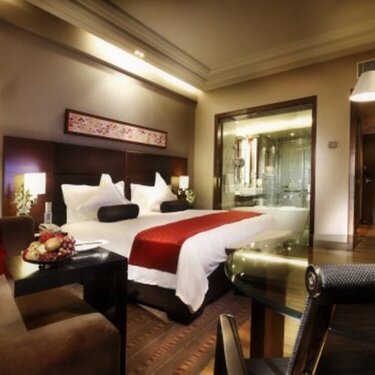 March 10 2011 - India - Crowne Plaza - my room