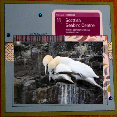 2014- Scottish Seabird Centre - June Page Maps Sketch 2