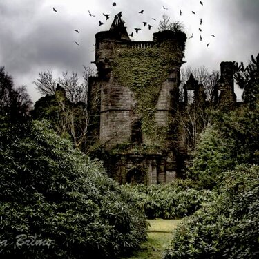 Buchanan Castle by Fiona Brims