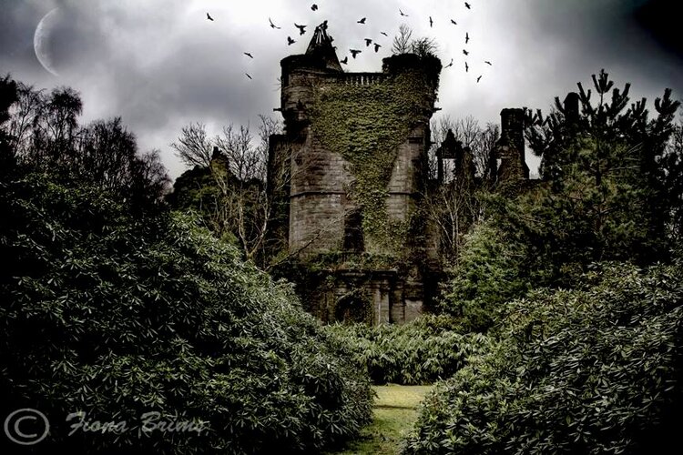 Buchanan Castle by Fiona Brims