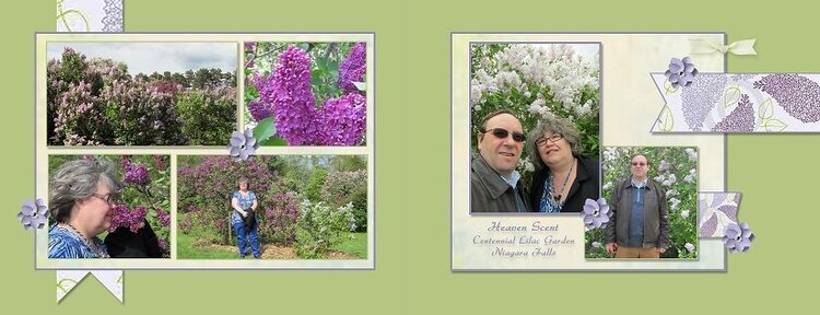 2013 May Trip to Canada - Centennial Lilac Garden - Niagara Falls - June 2 Page Sketch Challenge