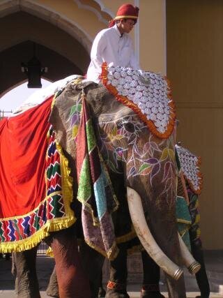 April POD 3 - Elephant in Jaipur