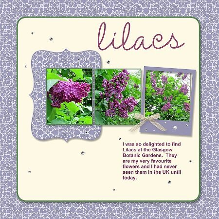 2014- Scotland-Botanic Gardens-Lilacs