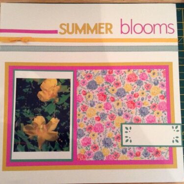 2020  Summer Blooms