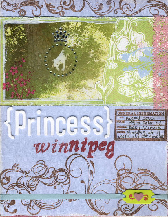 princess winnipeg