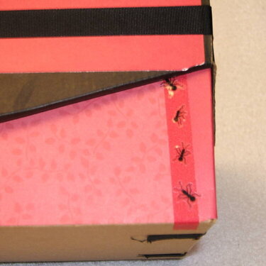 Altered Shoe Box