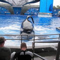 Sea World