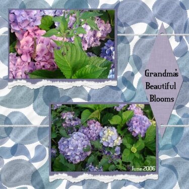 Grandma&#039;s beautiful Blooms