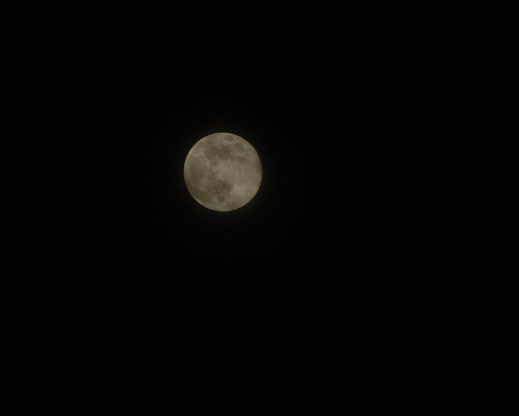 The Moon tonight - shot#17