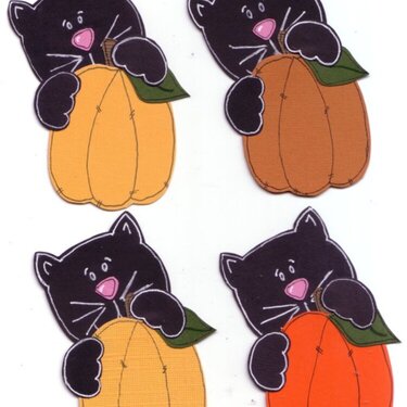 Kitty on Pumpkin