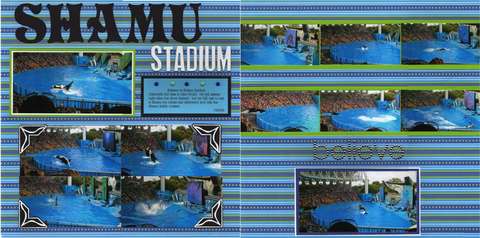Shamu Stadium