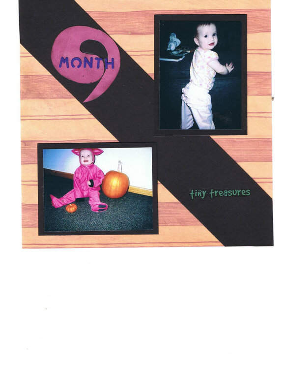 9 month album- month 9