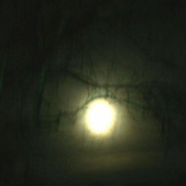 Misty Moon