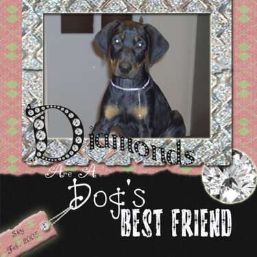Diamonds Are A Dog&#039;s Best Friend