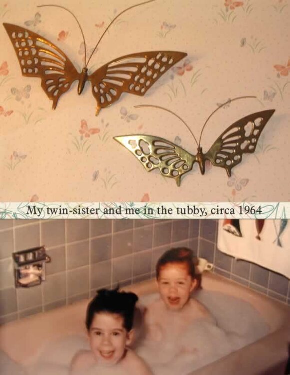 Butterflies and Bathtub