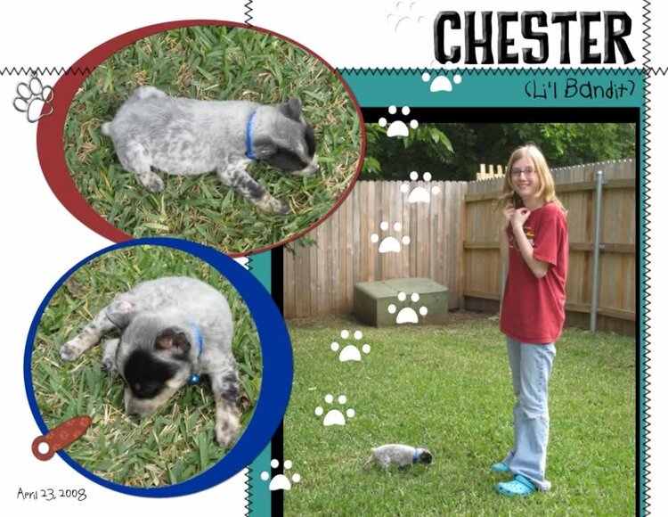 Chester (Li&#039;l Bandit)