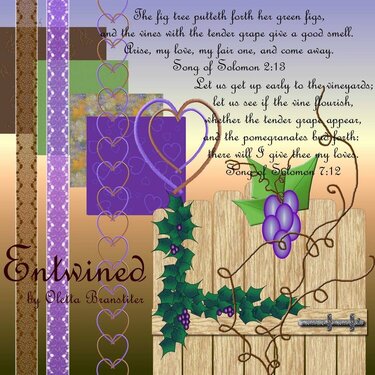 Entwined Kit