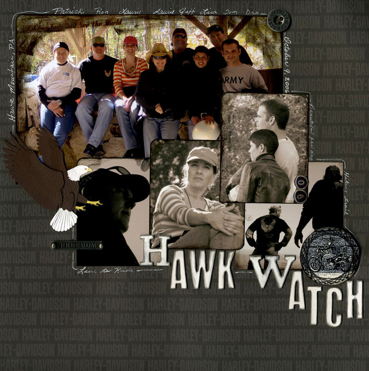 06_Hawk_Watch