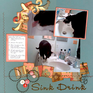 Sink Drink