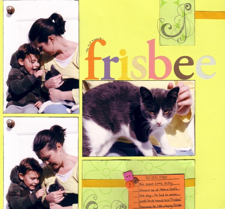 A Cat Named Frisbee