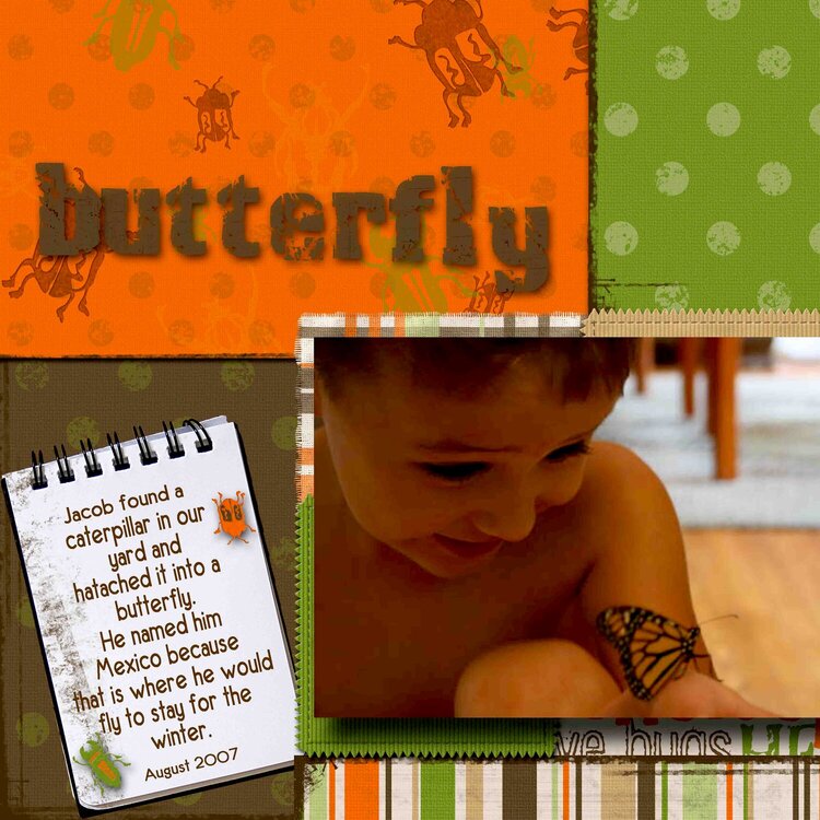 butterfly