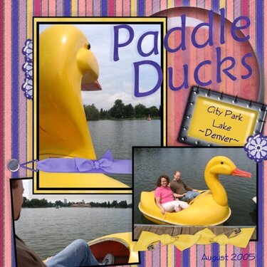 Paddle Ducks