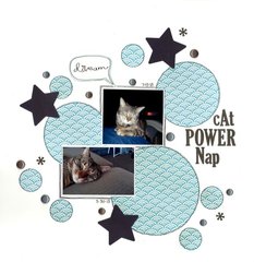 Cat Power Nap