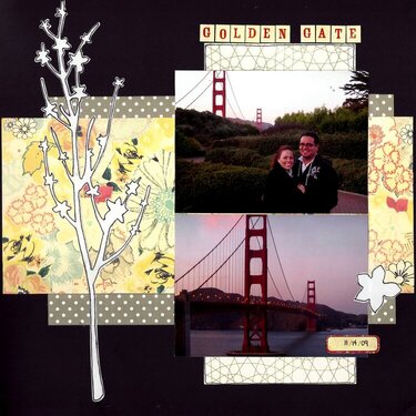 Golden Gate 11/14/09