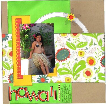 Hawaii Souvenir
