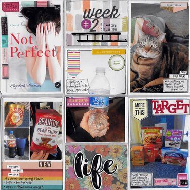 Project Life - Week 2