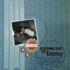 Sleeping With The Enemy