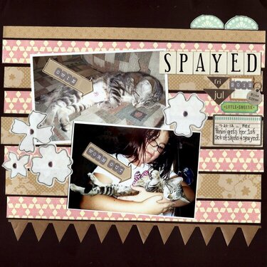 Spayed