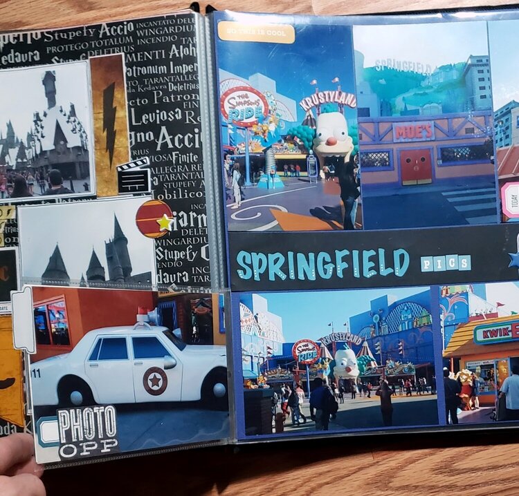 Springfield Pics (Flip Pocket)