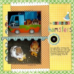 The Birthday Hamsters