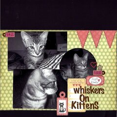 Whiskers on Kittens