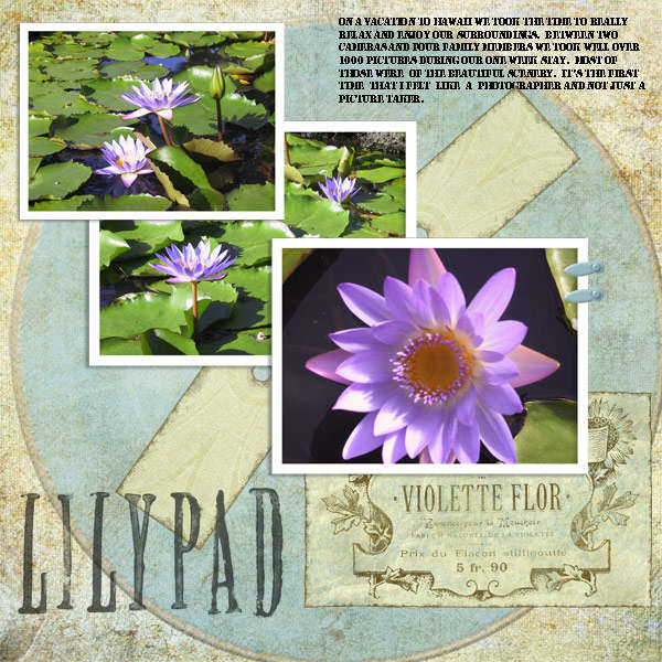 Lilypad