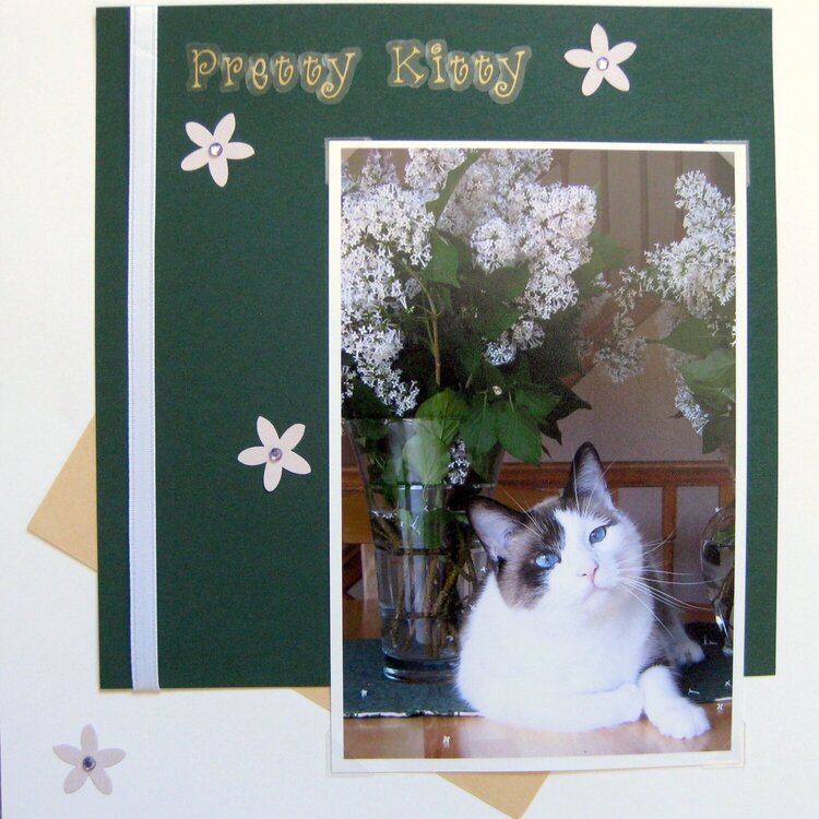 Pets Album: Page 3