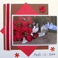 Pets Album: Page 7