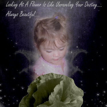 Looking at a Flolwer