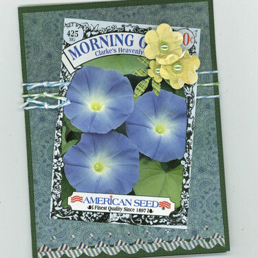 Morning Glory card