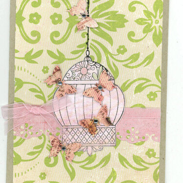 Birdcage and butterflies card