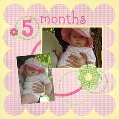 5 Months Old