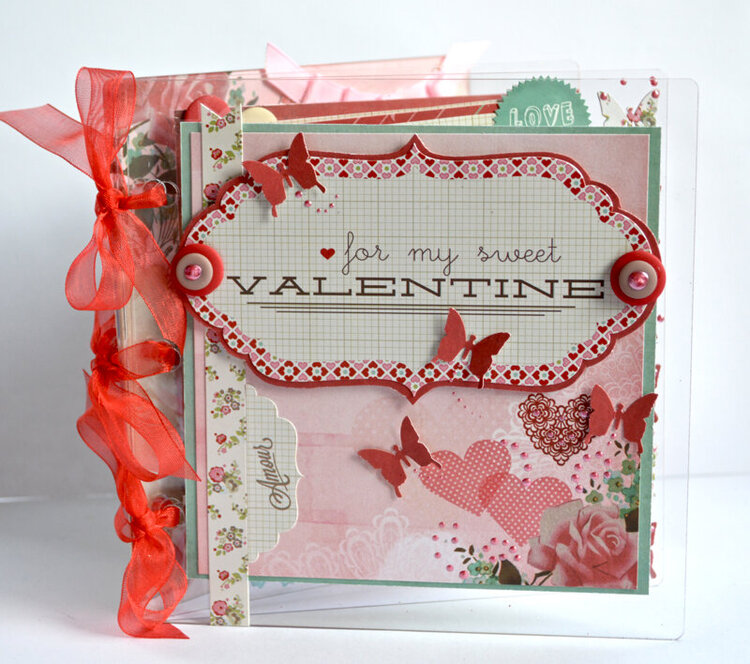 Clear Scraps acrylic Mini album by Pinky