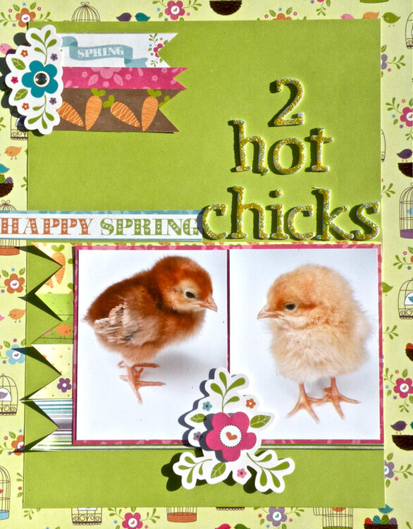 2 Hot Chicks