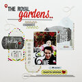 The Royal Gardens *Cocoa Daisy*