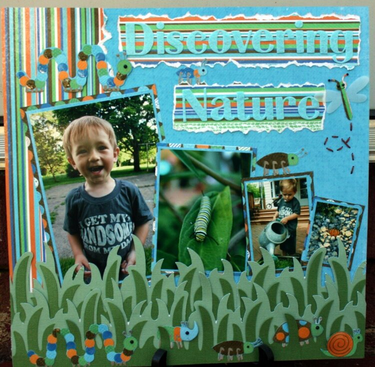 *Discovering Nature* Club Ruby September 2011 Kit