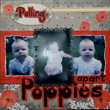 Pulling apart Poppies  pg1