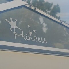 adhesive vinyl decal cut with Silhouette Cameo for our boat